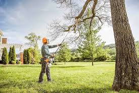 Trusted North Hudson, WI Tree Care Experts